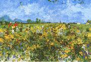 Vincent Van Gogh Green Vineyard oil painting